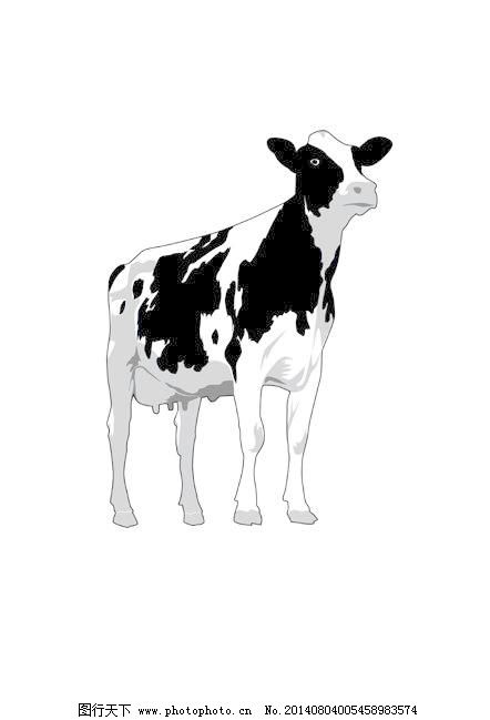 不同的奶牛设计矢量图04