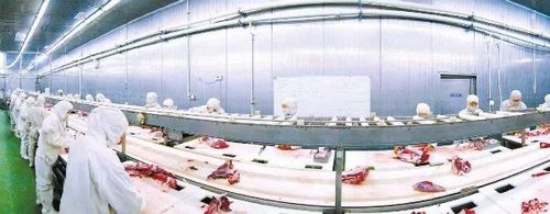肉牛屠宰过程中微生物污染与防控技术研究