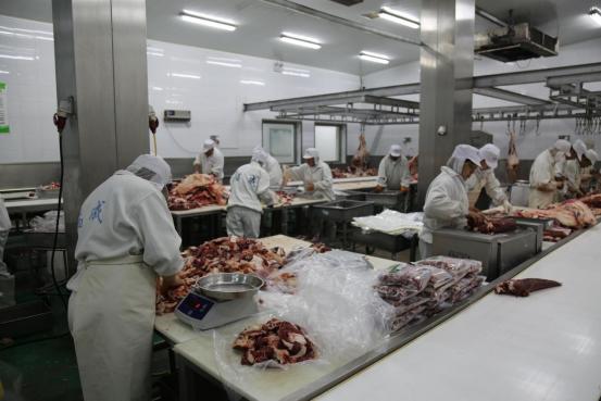 福成股份肉牛养殖新厂扩建预计投产后增产2万头
